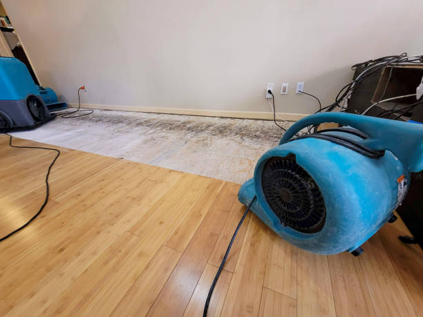 Professional Ceiling Water Damage Repair technician working in Johnston, SC